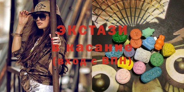 сатива Ельня