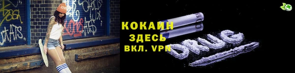 сатива Арсеньев