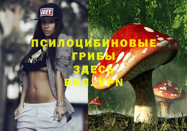 сатива Арсеньев